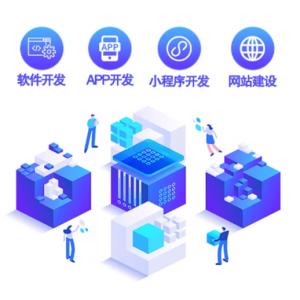 软件开发定制app制作网站建设微信抖音小程序全行业系统定制开发 各类软件定制