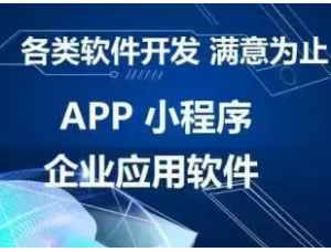 出入库仓储管理系统库房仓库管理软件保密单位离线国产系统RFID盘点统计进出货wms